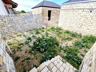 image 376397