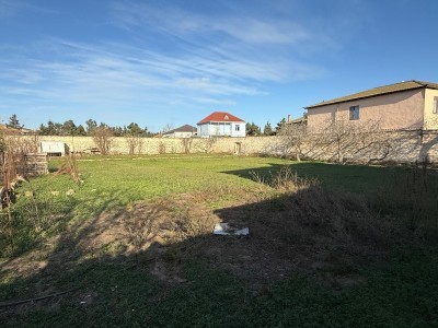 image 376413