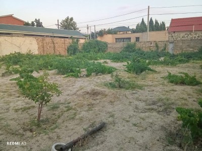 image 376425