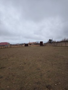 image 376426