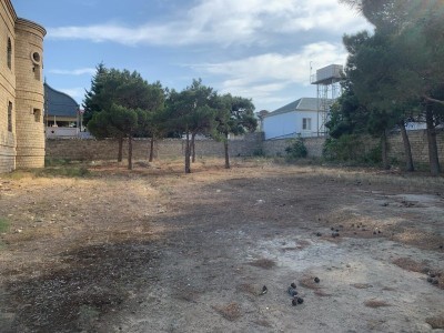 image 376460