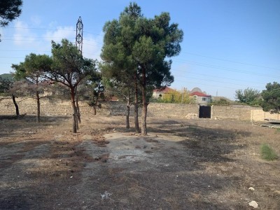image 376460