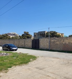 image 376460