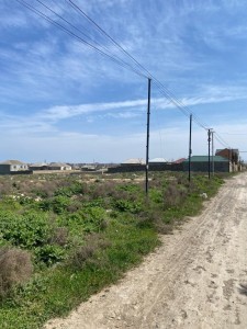 image 376475