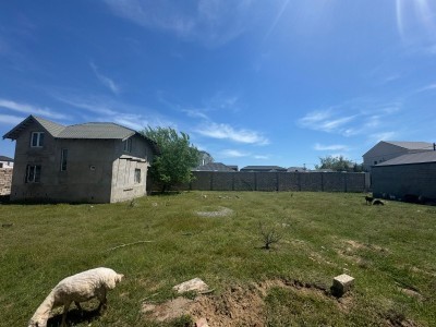 image 376496
