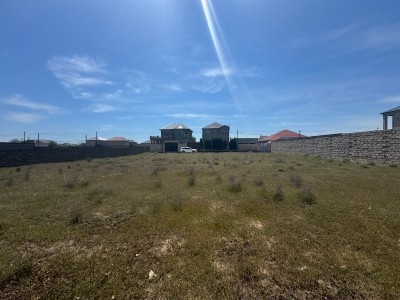 image 376504