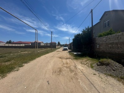image 376504