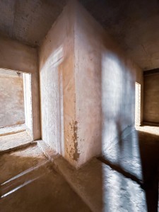 image 376505