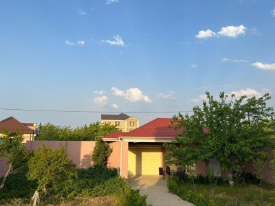 image 376519
