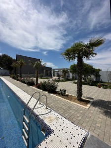 image 376538