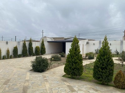 image 376556
