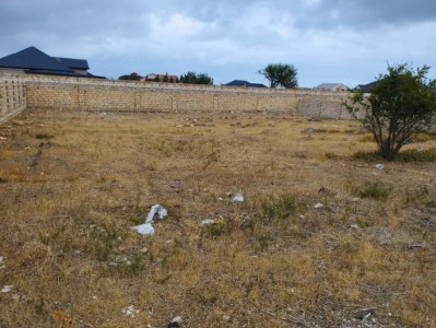 image 376563