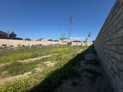 image 376564