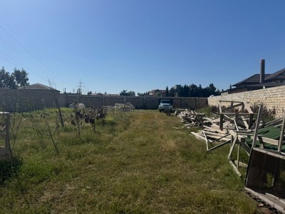 image 376564