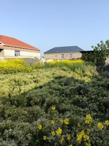 image 376580