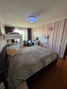image 376585