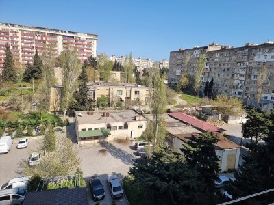 image 376591