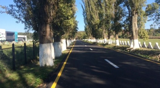 image 376603