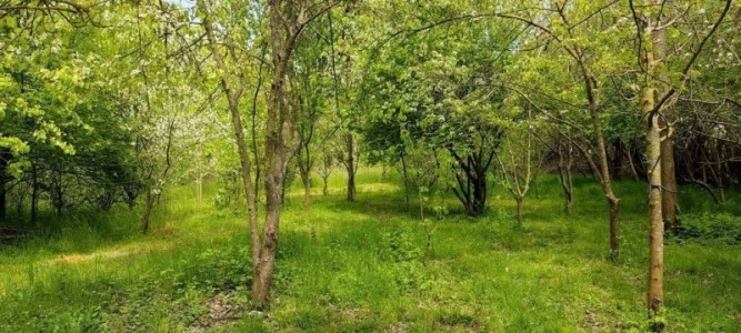 image 376603