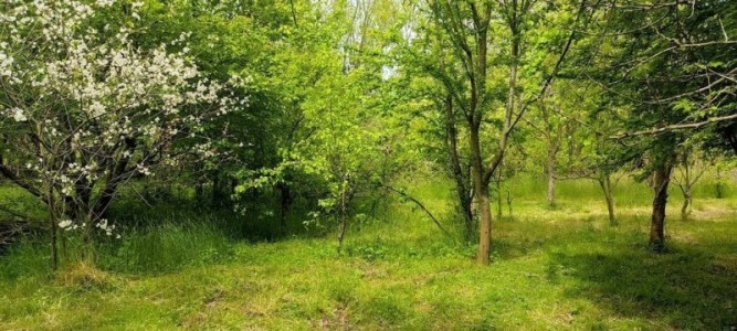 image 376603