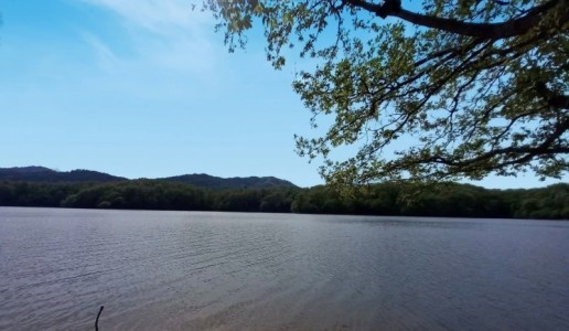 image 376603