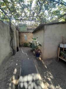 image 376605