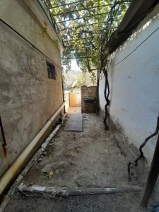 image 376605