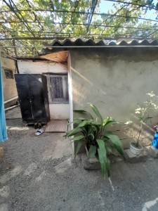 image 376605