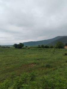 image 376606