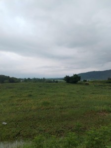 image 376606