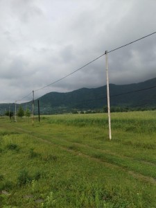 image 376606