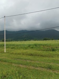 image 376606