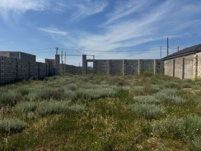 image 376649
