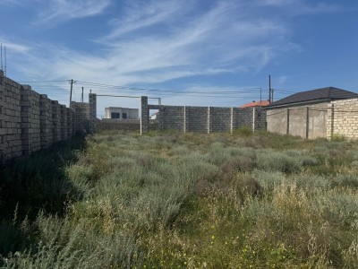 image 376649