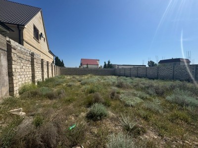 image 376649