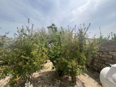 image 376656