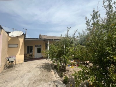 image 376656