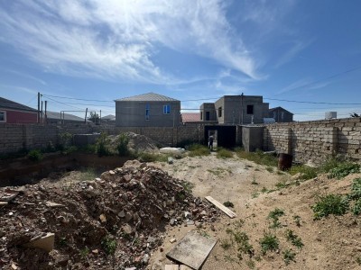 image 376658