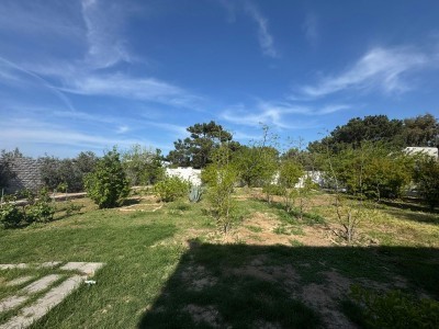 image 376672
