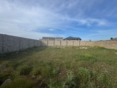 image 376676