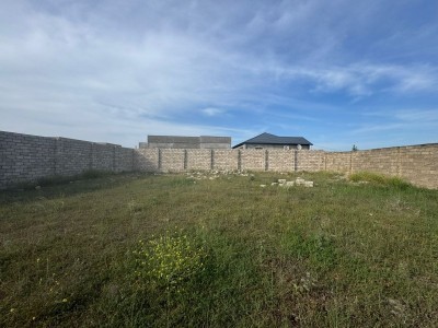 image 376676