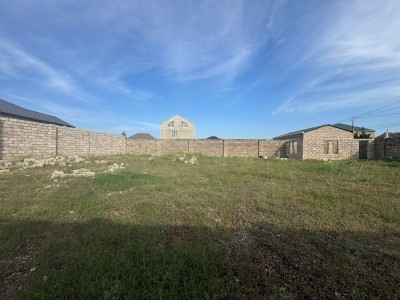 image 376676