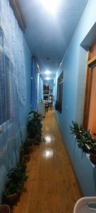 image 376682