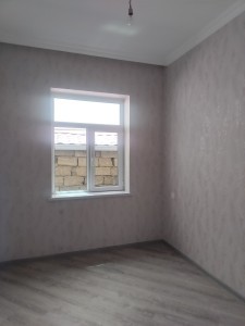 image 376687