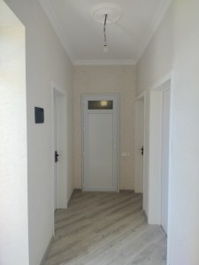 image 376687