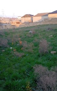 image 376688