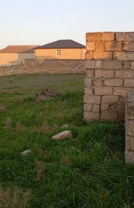 image 376688