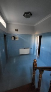 image 376710