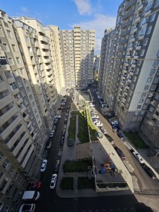 image 376736
