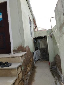 image 376742